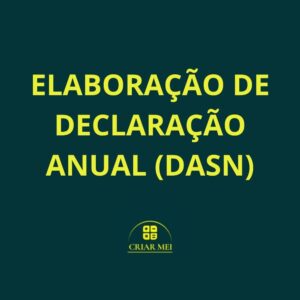 ELABORAÇÃO DE DECLARAÇÃO ANUAL (DASN)